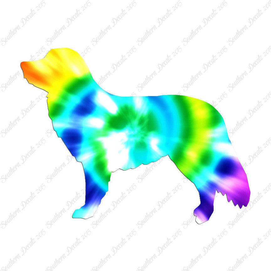Duck Tolling Retriever Dog Breed