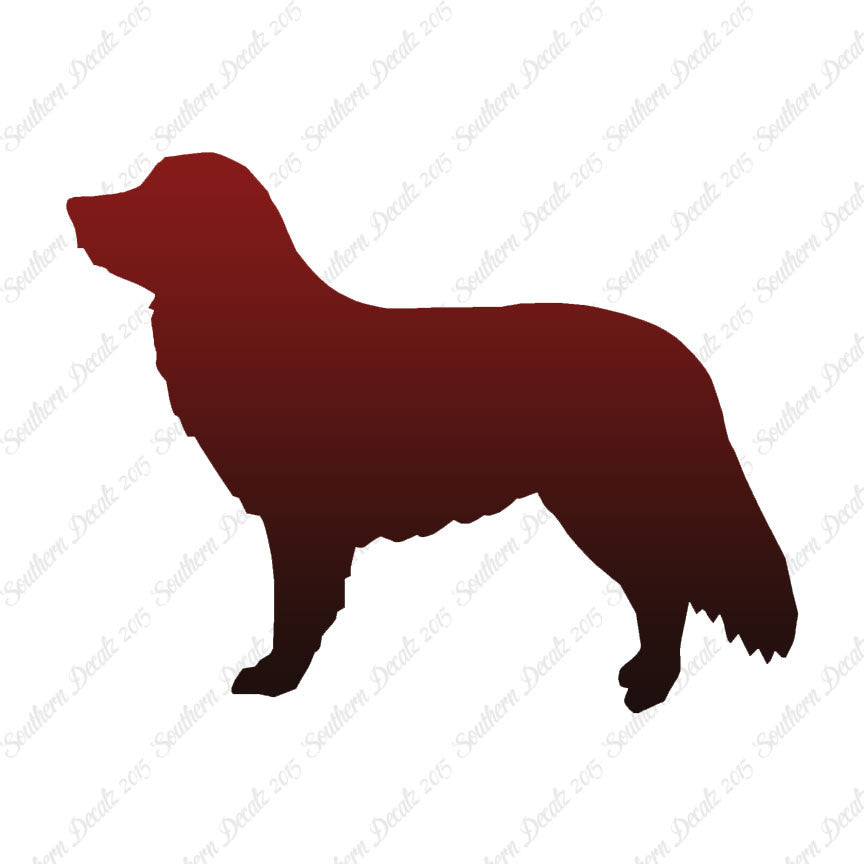 Duck Tolling Retriever Dog Breed