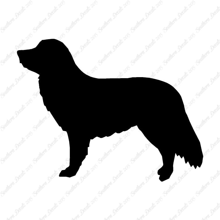 Duck Tolling Retriever Dog Breed