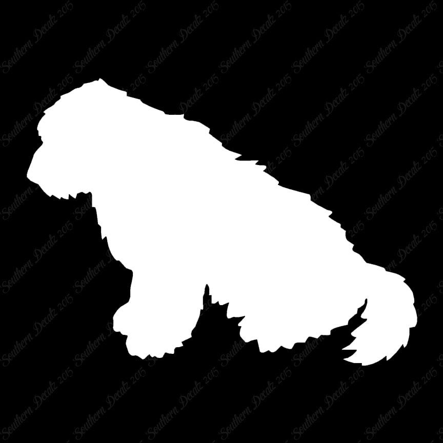 Old English Sheepdog Dog Breed