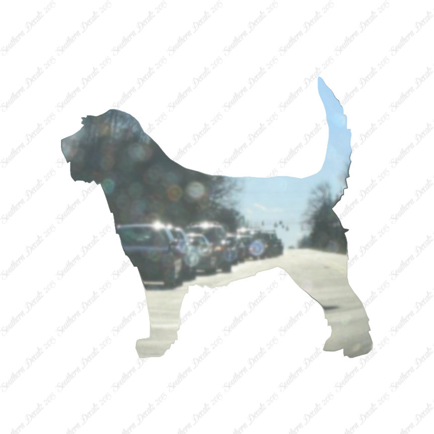 Otterhound Dog Breed