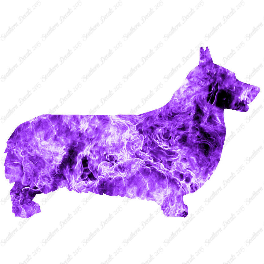 Pembroke Welsh Corgi Dog Breed
