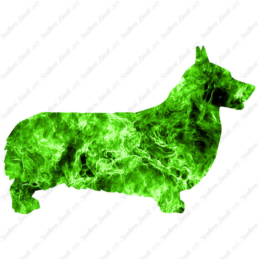 Pembroke Welsh Corgi Dog Breed