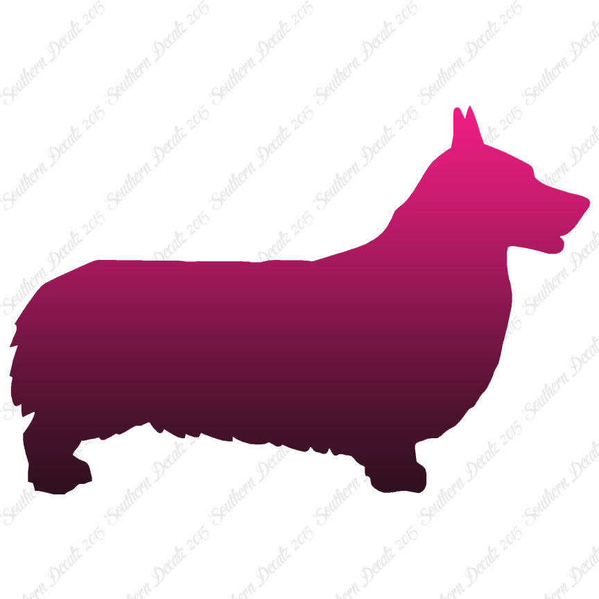 Pembroke Welsh Corgi Dog Breed