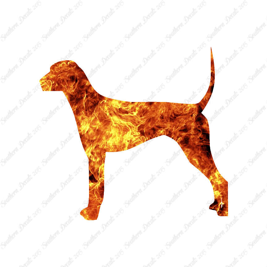 Plott Hound Dog Breed