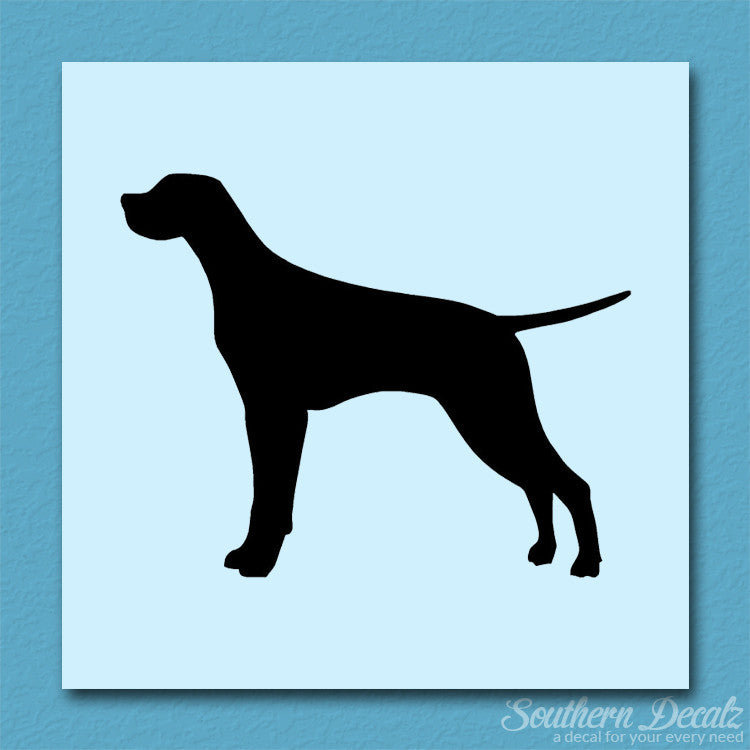 Pointer Dog Breed