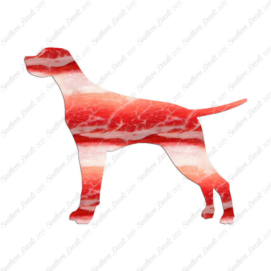 Pointer Dog Breed