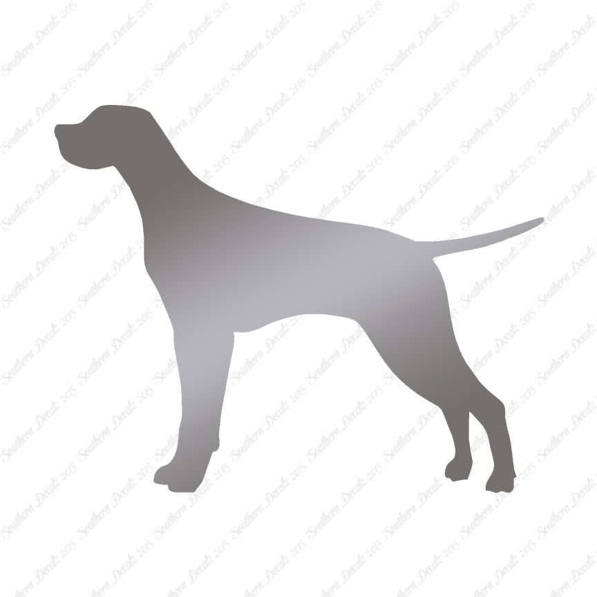Pointer Dog Breed