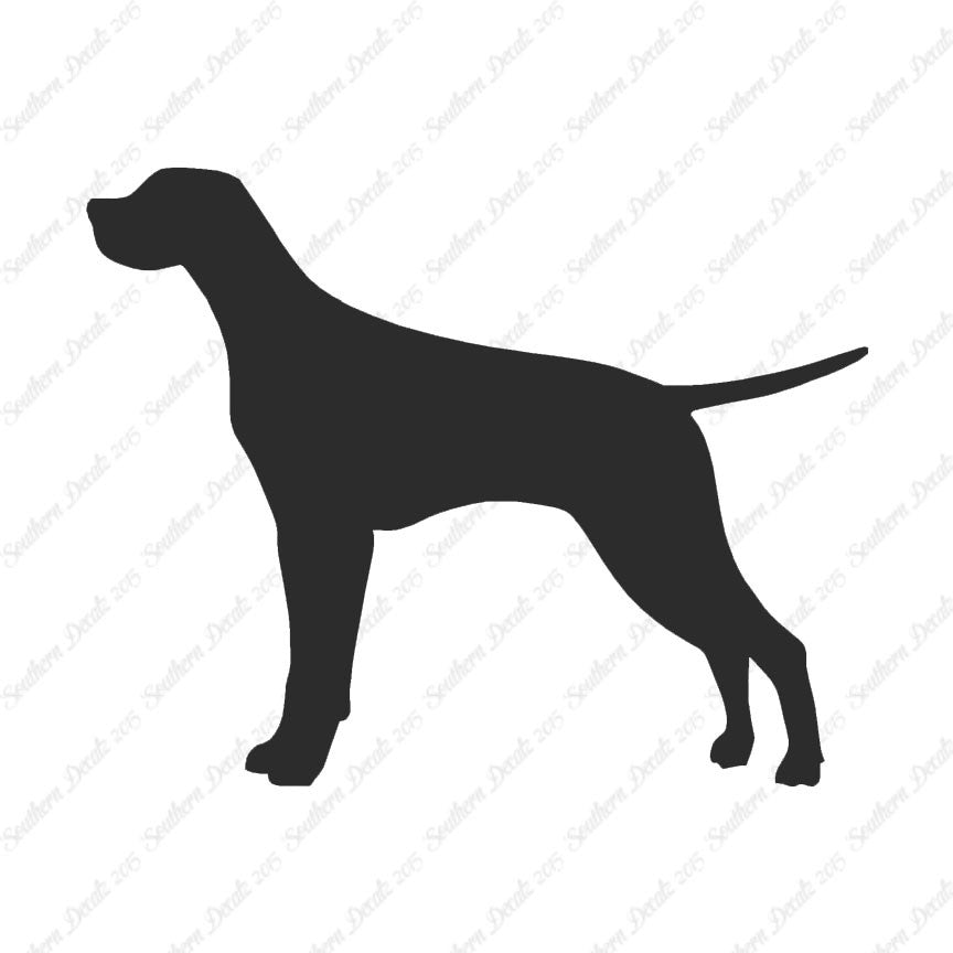 Pointer Dog Breed