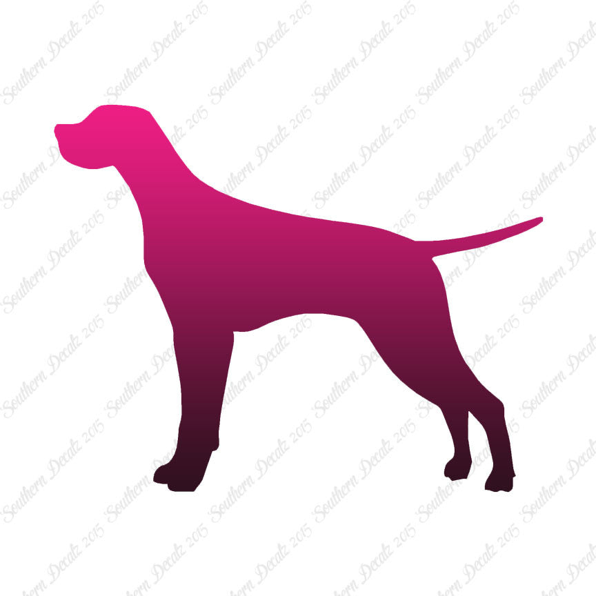 Pointer Dog Breed