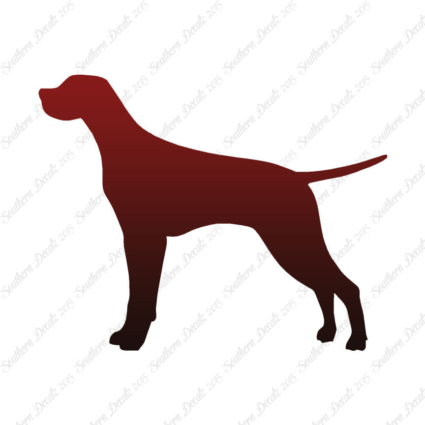 Pointer Dog Breed