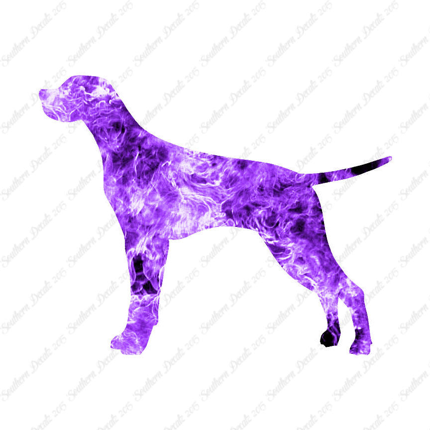 Pointer Dog Breed