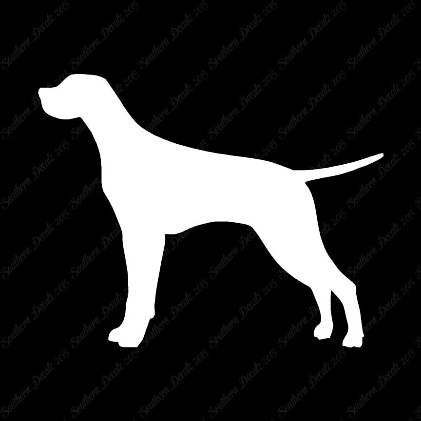 Pointer Dog Breed