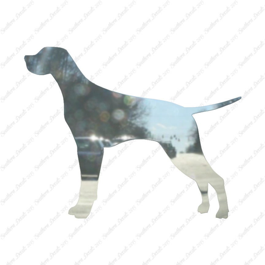 Pointer Dog Breed