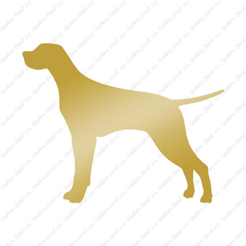 Pointer Dog Breed