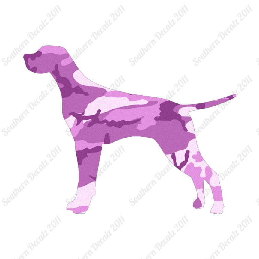 Pointer Dog Breed