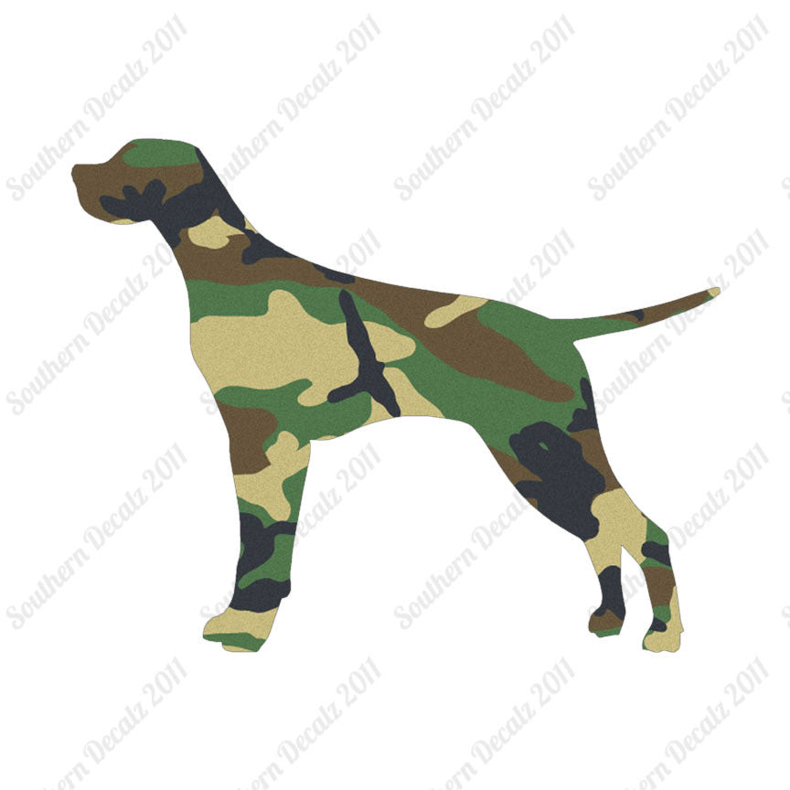 Pointer Dog Breed