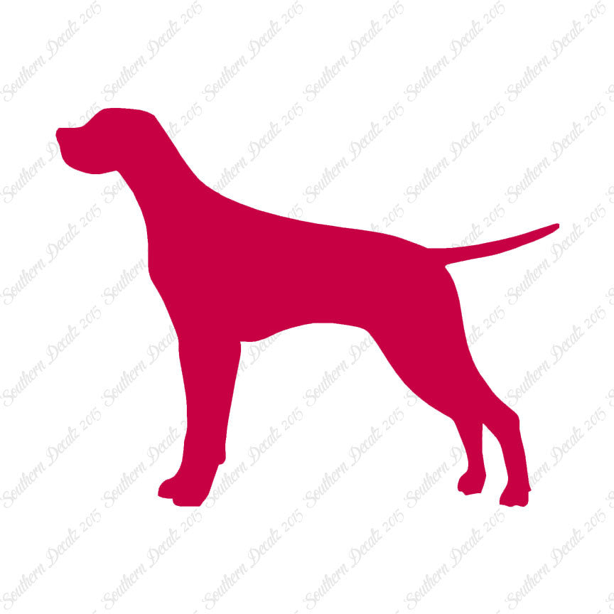 Pointer Dog Breed