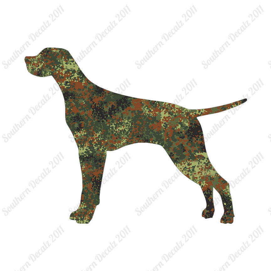 Pointer Dog Breed