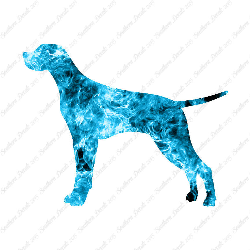 Pointer Dog Breed