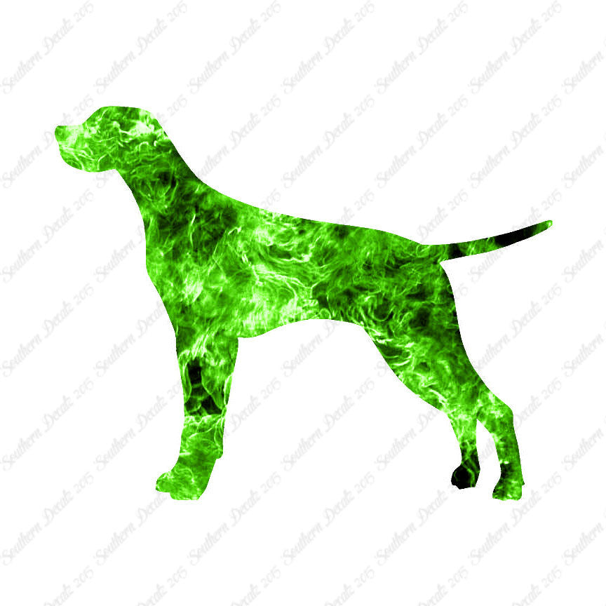 Pointer Dog Breed