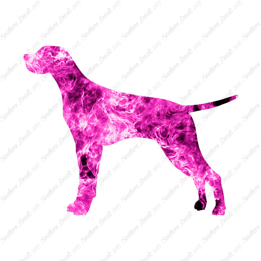 Pointer Dog Breed