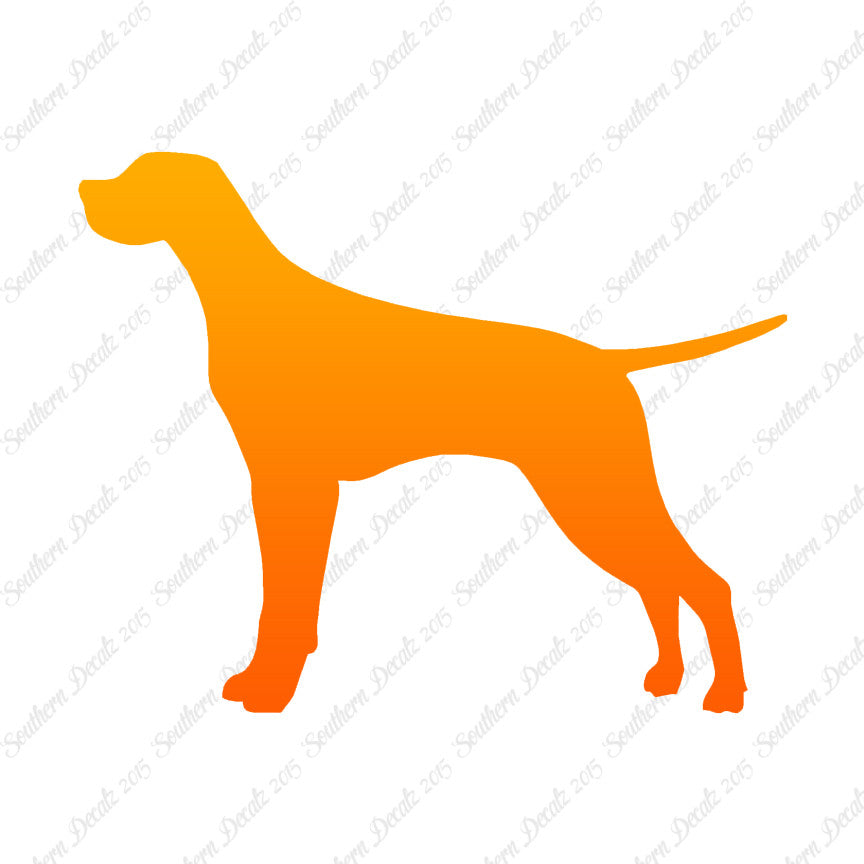 Pointer Dog Breed