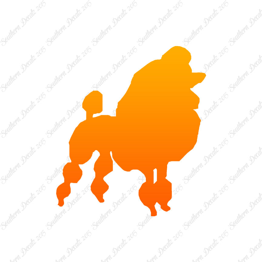 Poodle Dog Breed