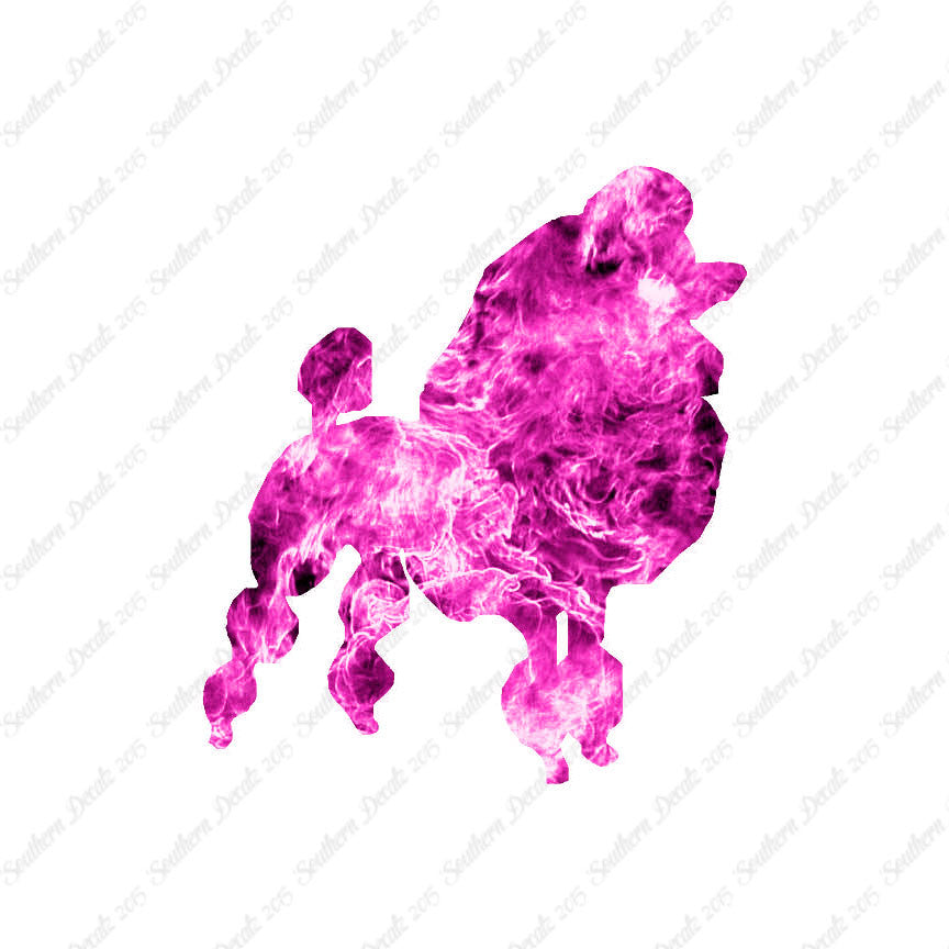 Poodle Dog Breed