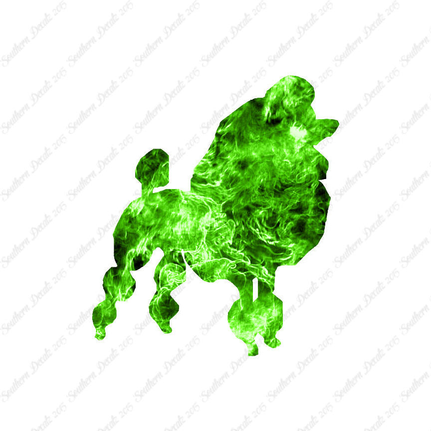 Poodle Dog Breed