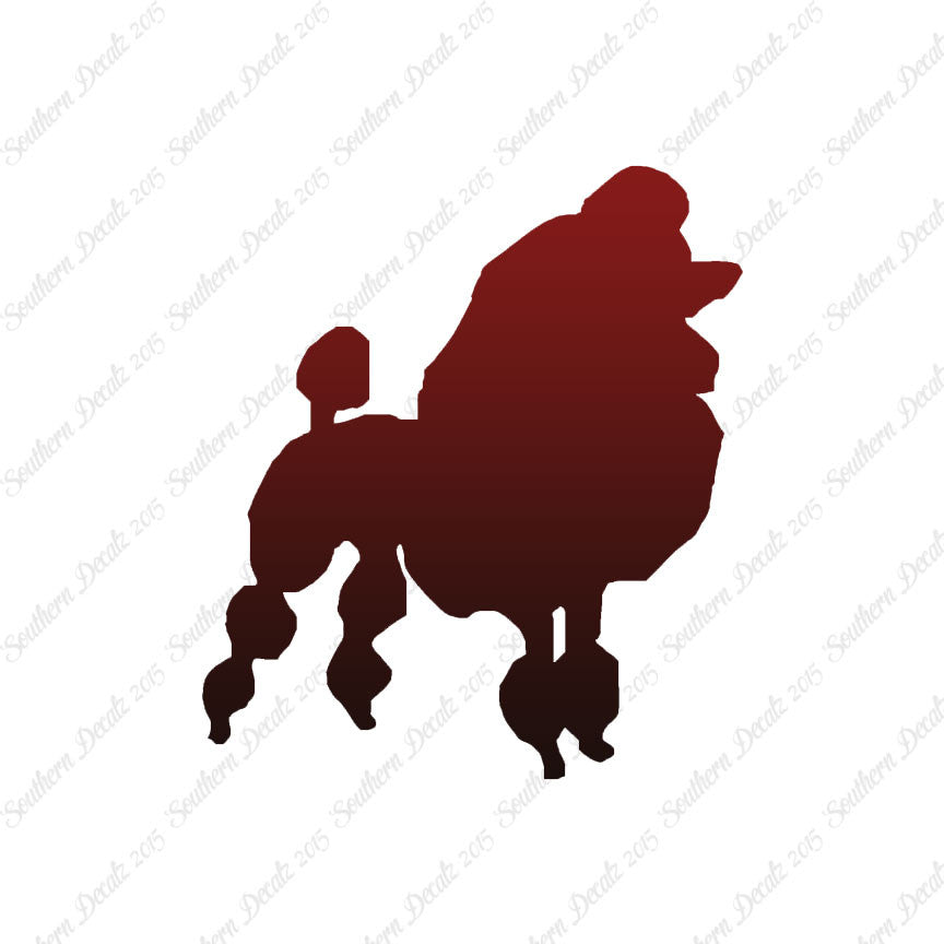 Poodle Dog Breed