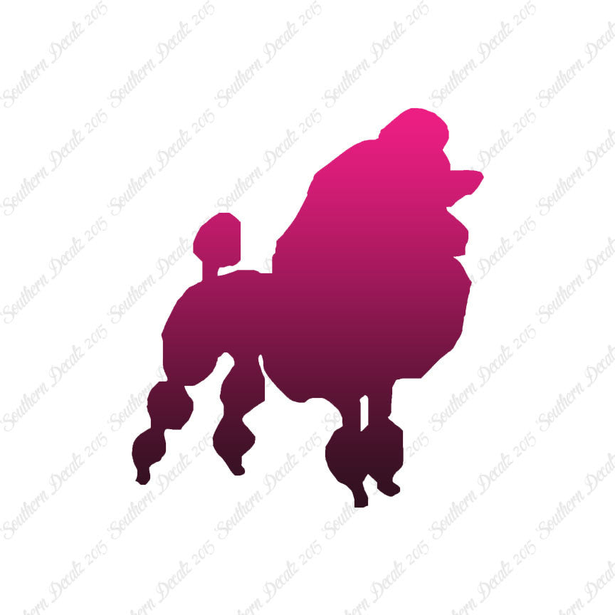 Poodle Dog Breed
