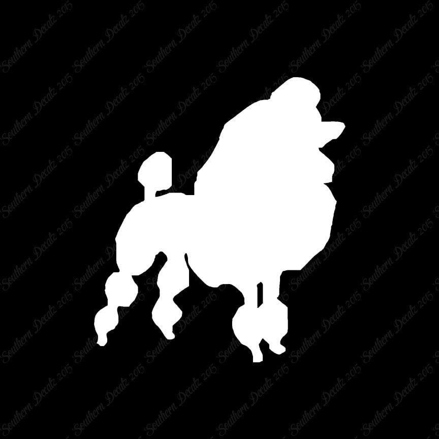 Poodle Dog Breed