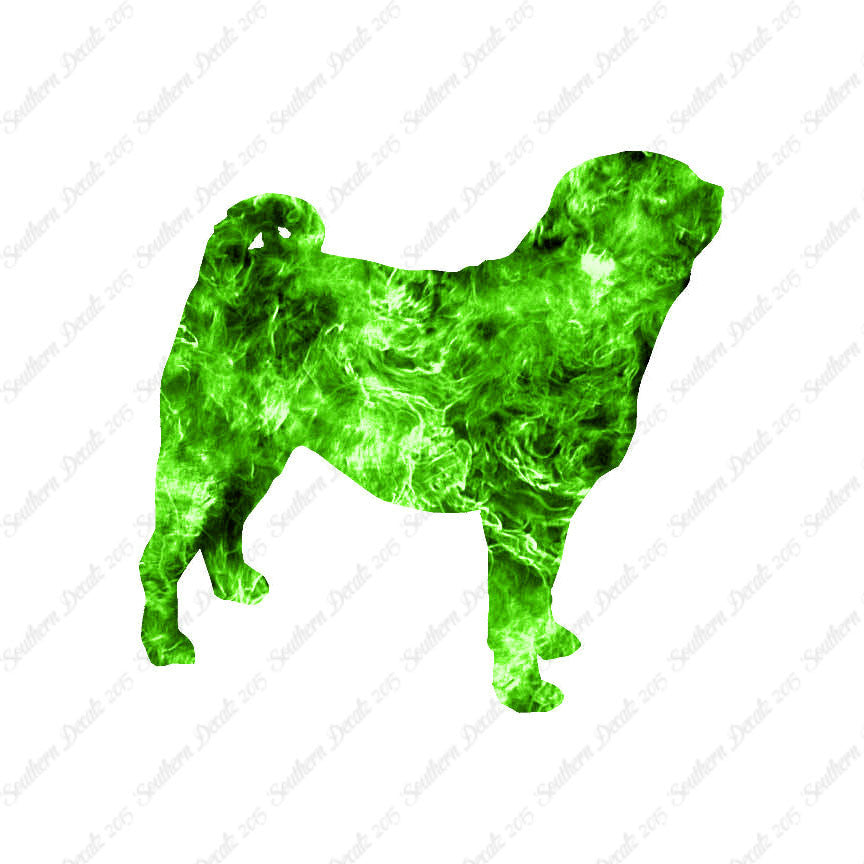 Pug Dog Breed