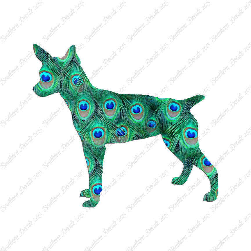 Rat Terrier Dog Breed