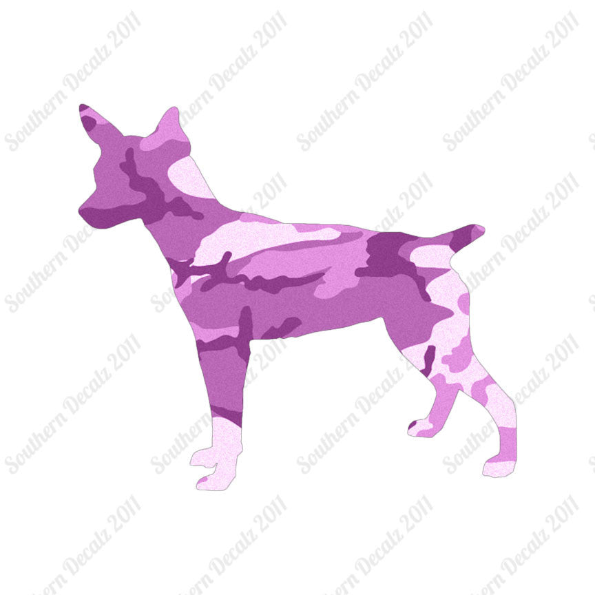 Rat Terrier Dog Breed