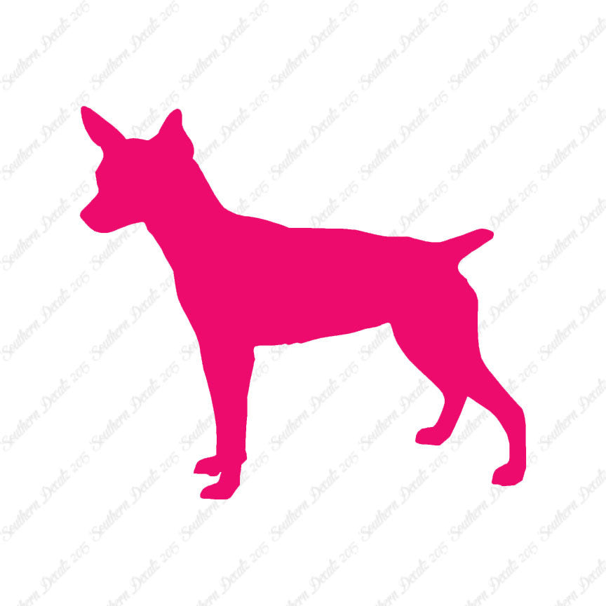 Rat Terrier Dog Breed