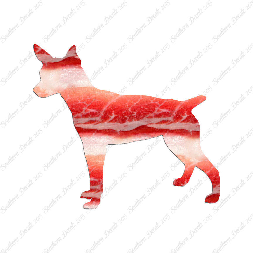 Rat Terrier Dog Breed