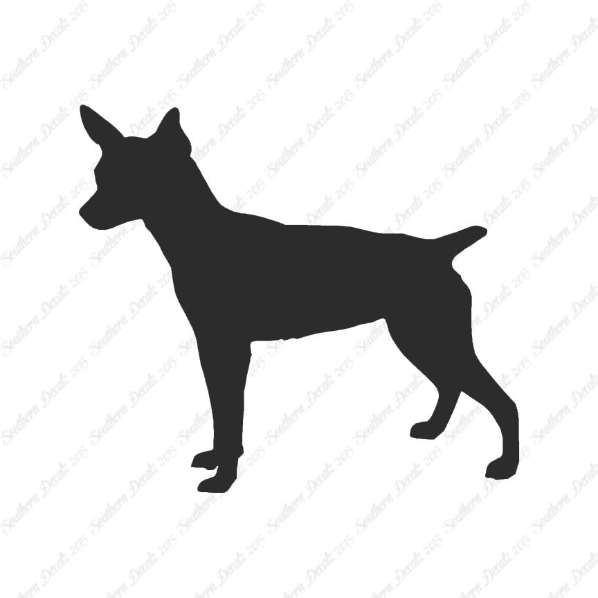 Rat Terrier Dog Breed