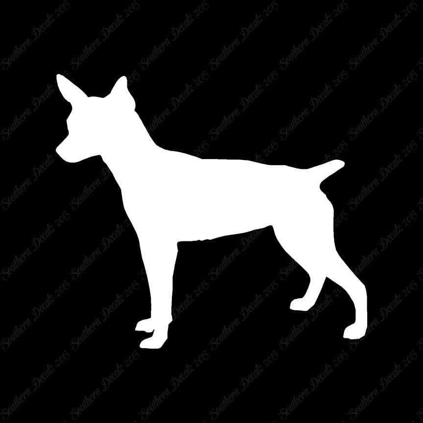 Rat Terrier Dog Breed