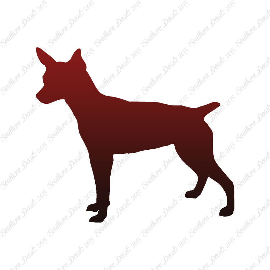 Rat Terrier Dog Breed
