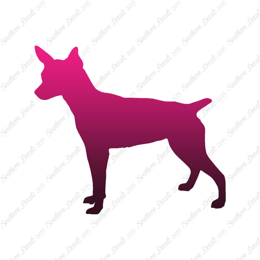 Rat Terrier Dog Breed