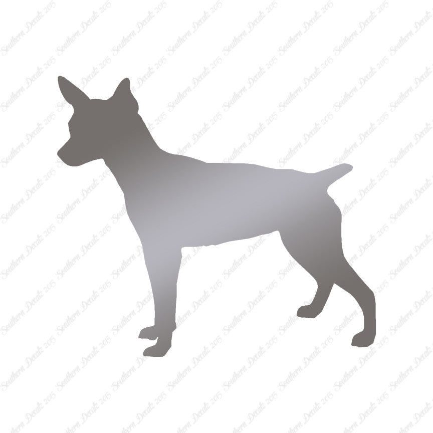 Rat Terrier Dog Breed