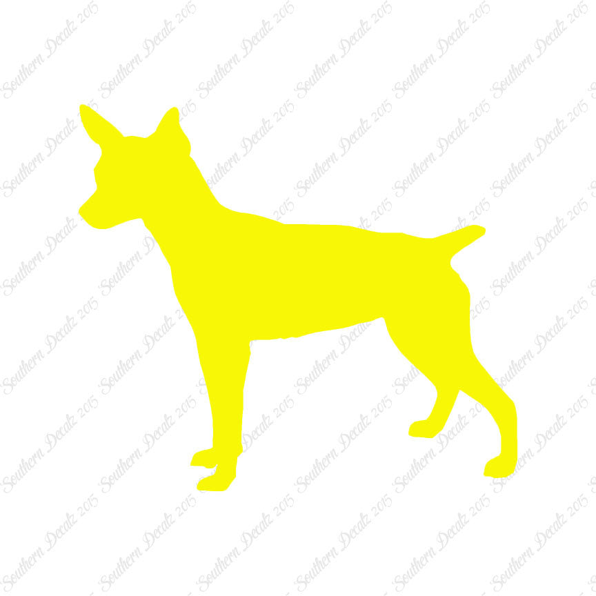 Rat Terrier Dog Breed