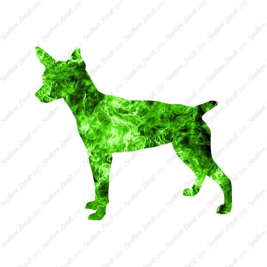 Rat Terrier Dog Breed