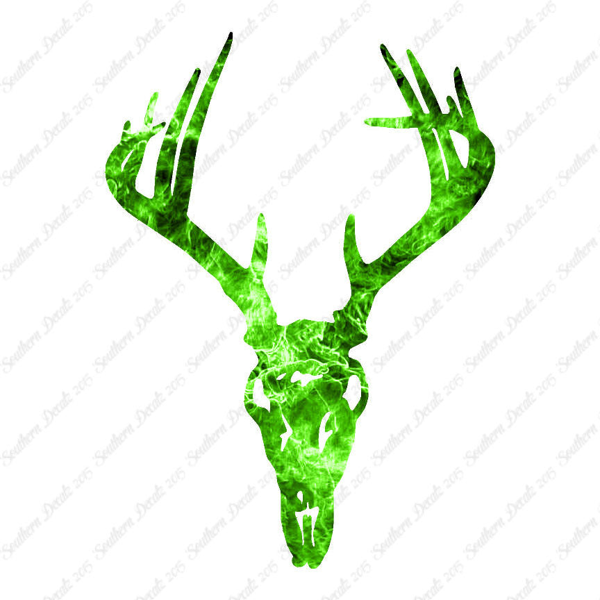 Deer Skull Trophy Antlers