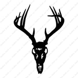 Deer Skull Trophy Antlers