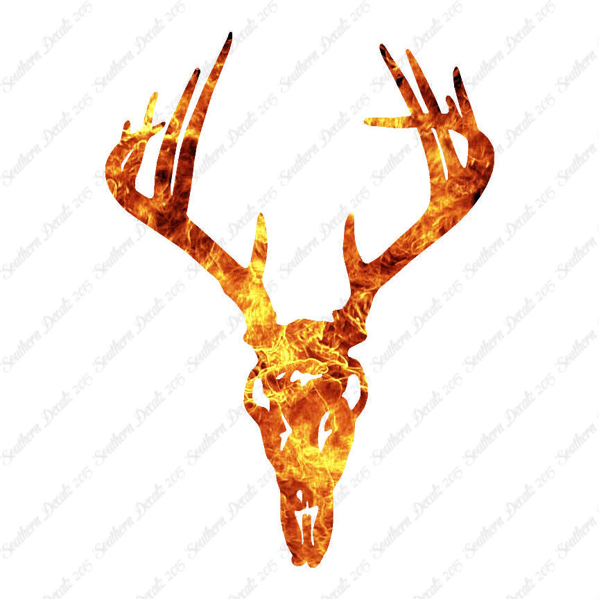 Deer Skull Trophy Antlers