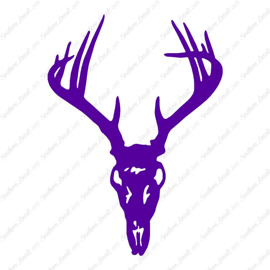 Deer Skull Trophy Antlers