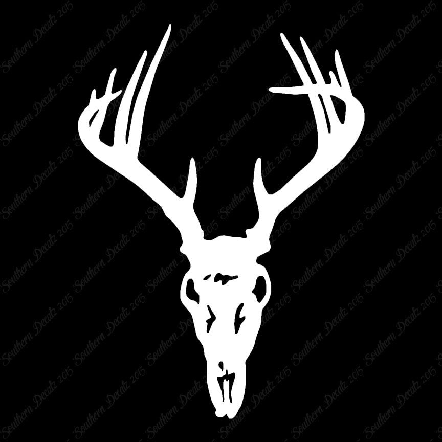Deer Skull Trophy Antlers